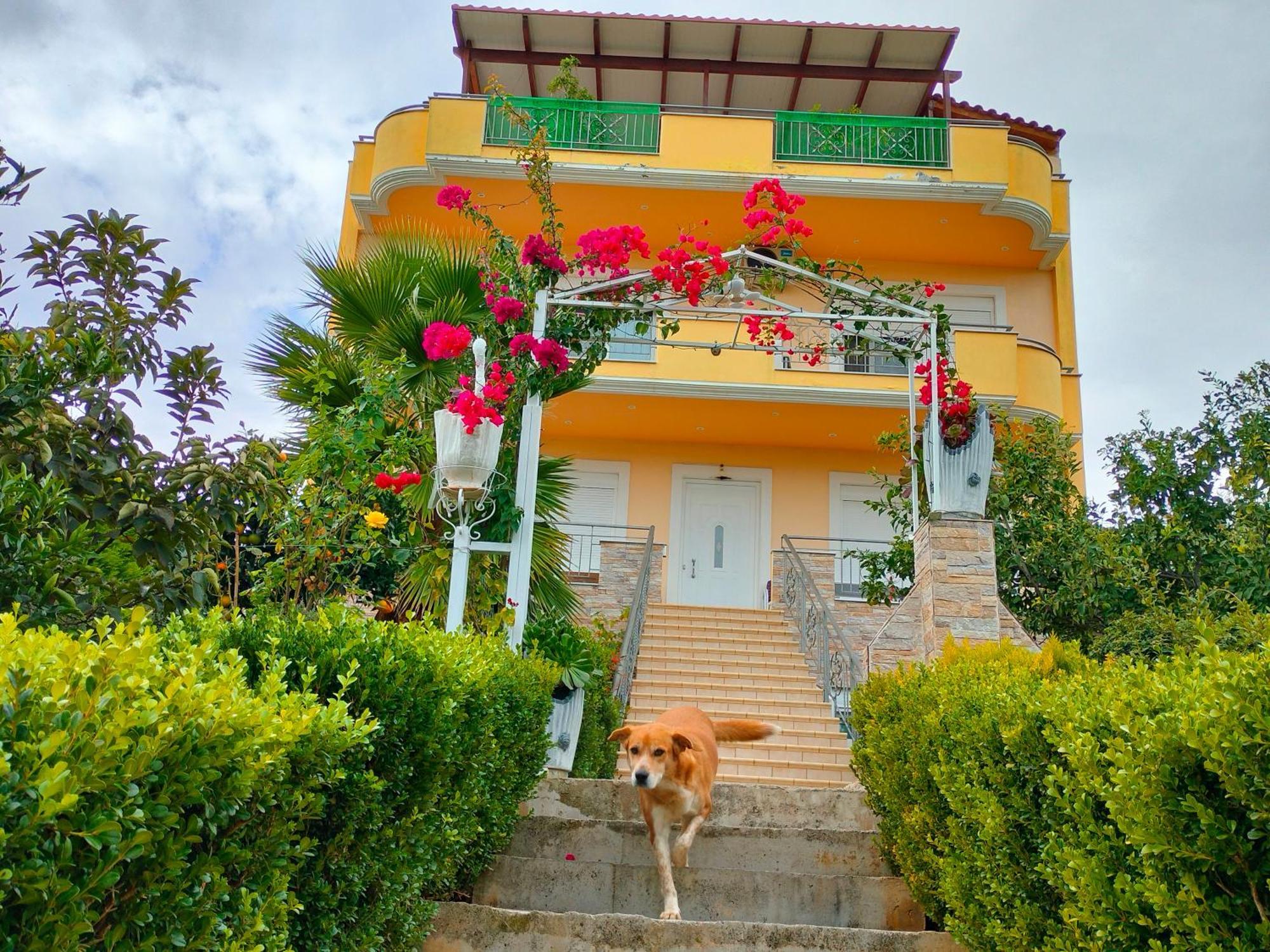 Appartement House With Wonderful View à Lefkandi Chalkidas Extérieur photo